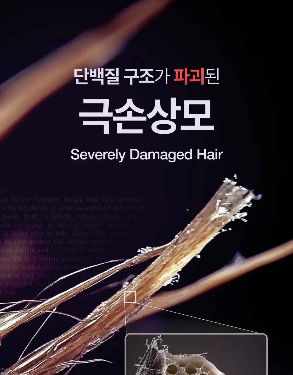 [100시간 지속] 프롬랩스 초고함량 단백질 흡착 부스터 파우더 2g*8ea 상세페이지 11